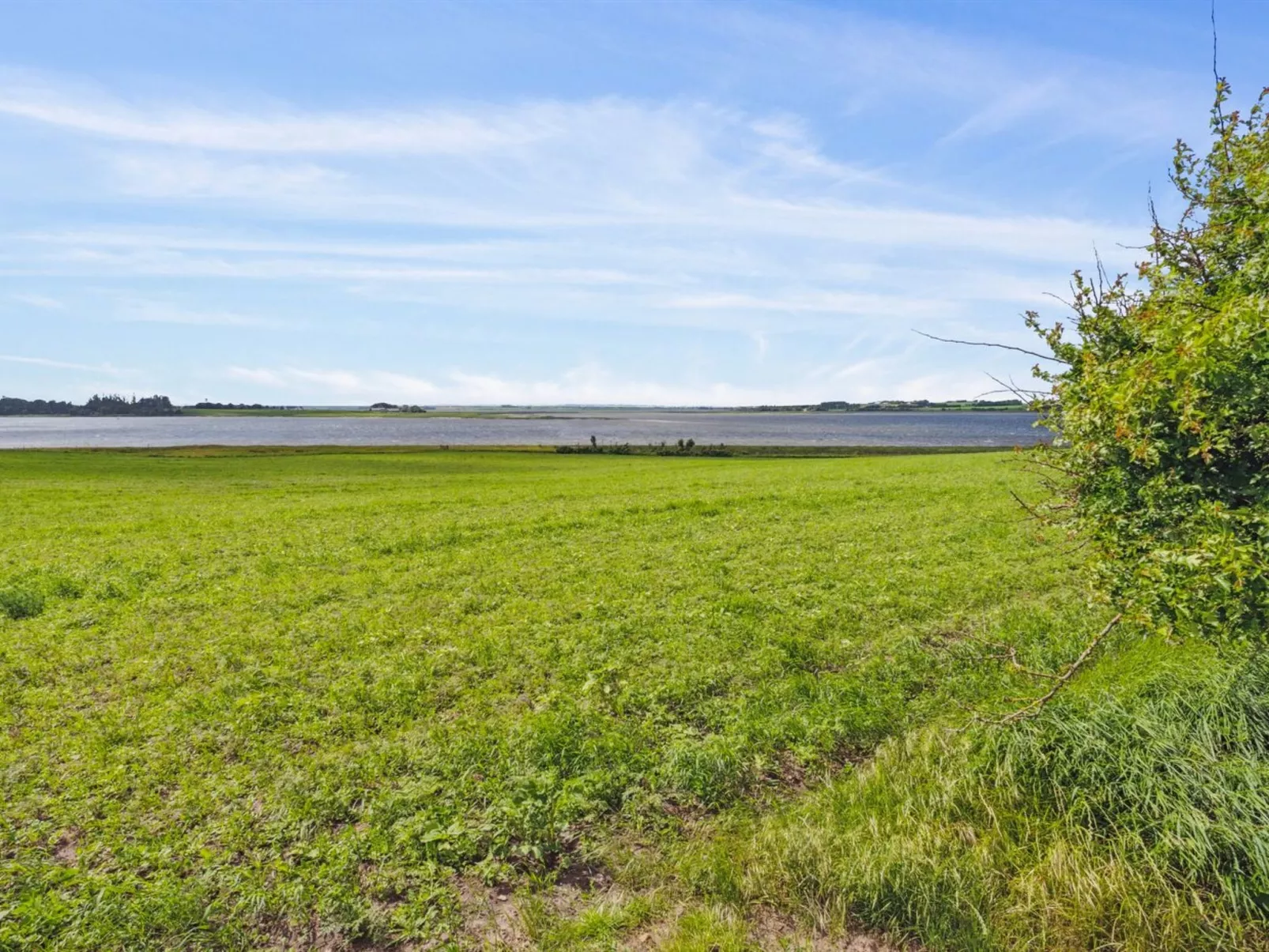 "Månviva" - 150m to the fjord-Buiten