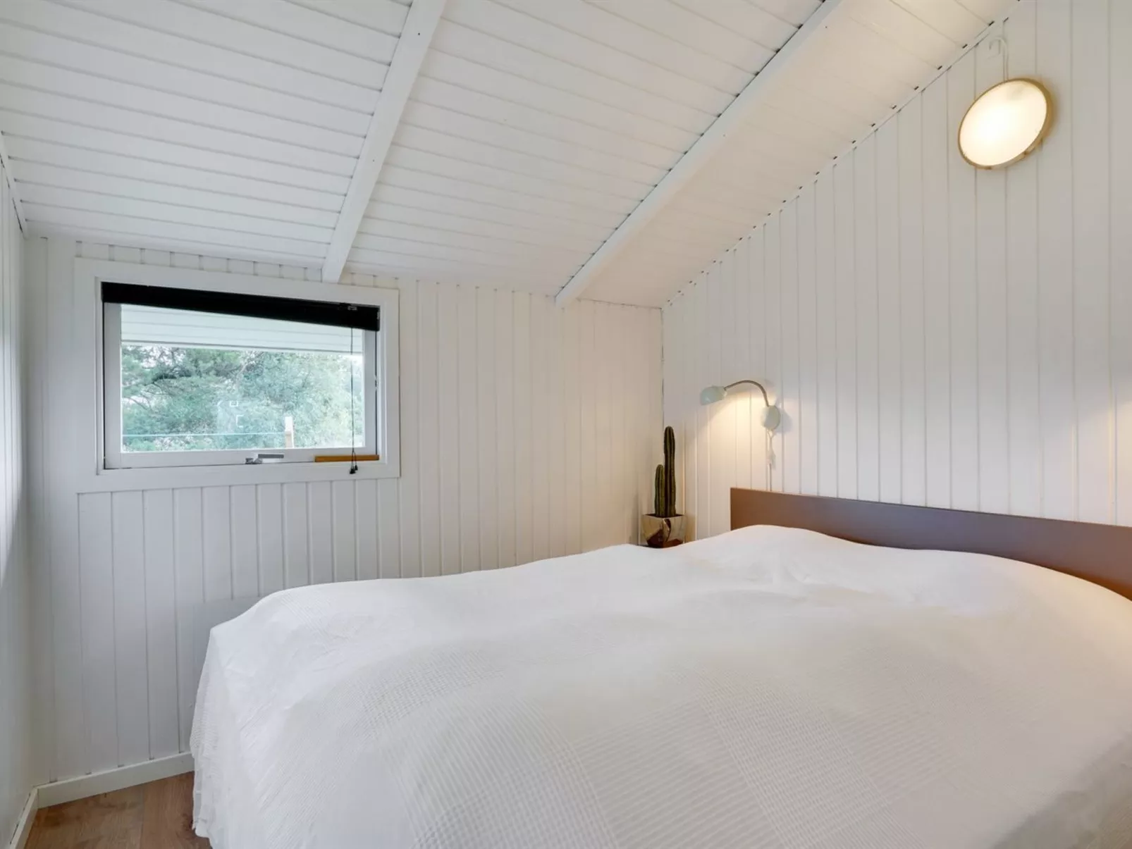 "Albrecht" - 1.8km from the sea-Binnen