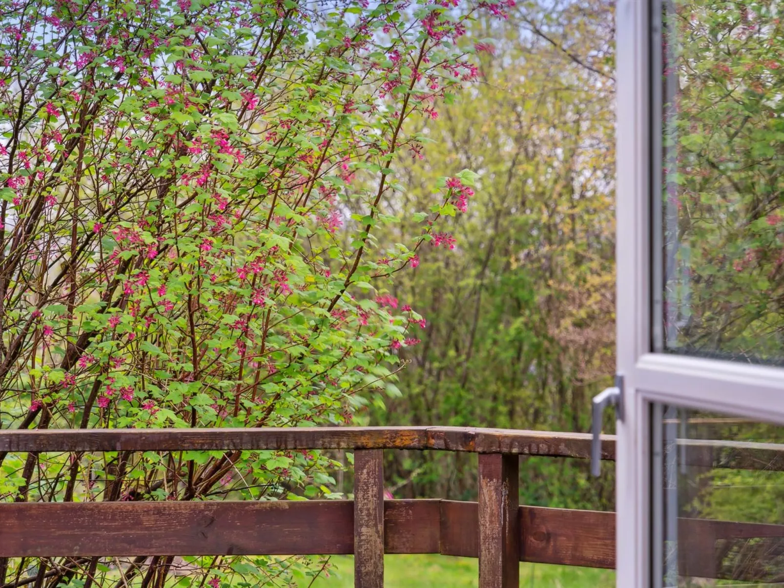 "Avni" - 300m from the sea-Buiten