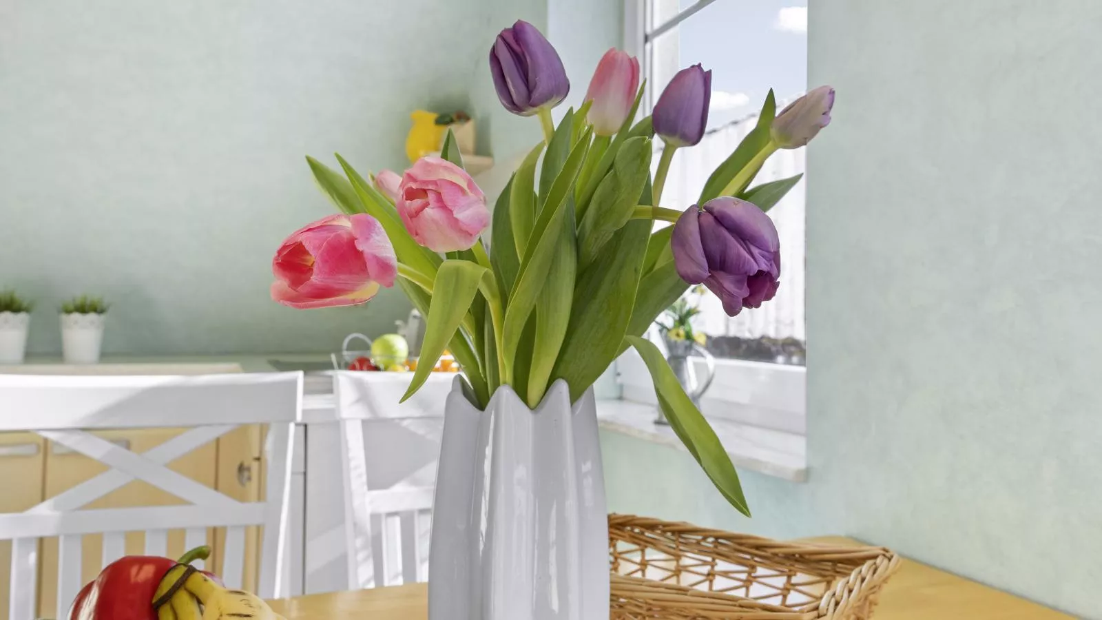 Nordlicht - Windjammer-Sfeer