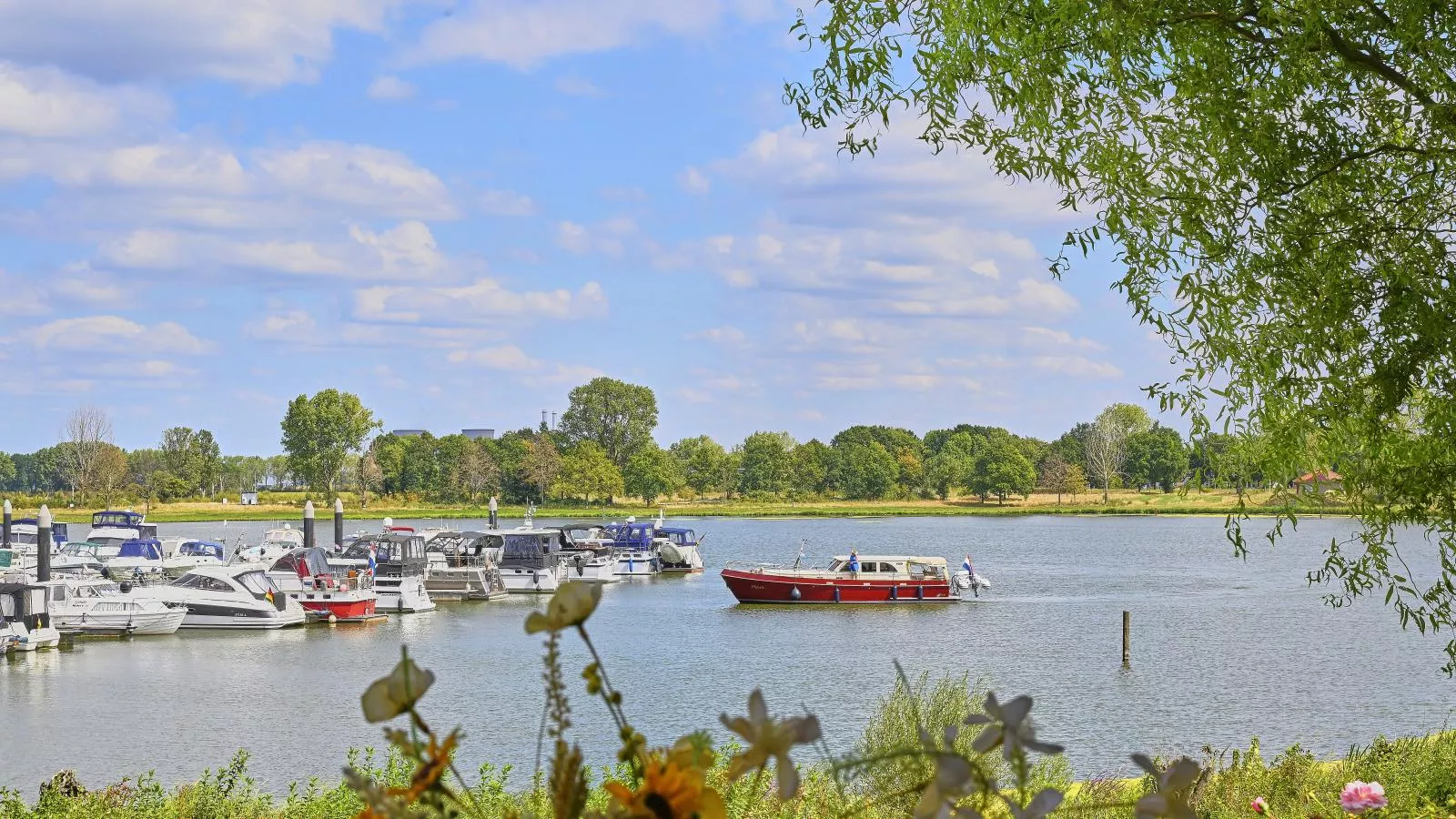 Rose Garden-Uitzicht zomer