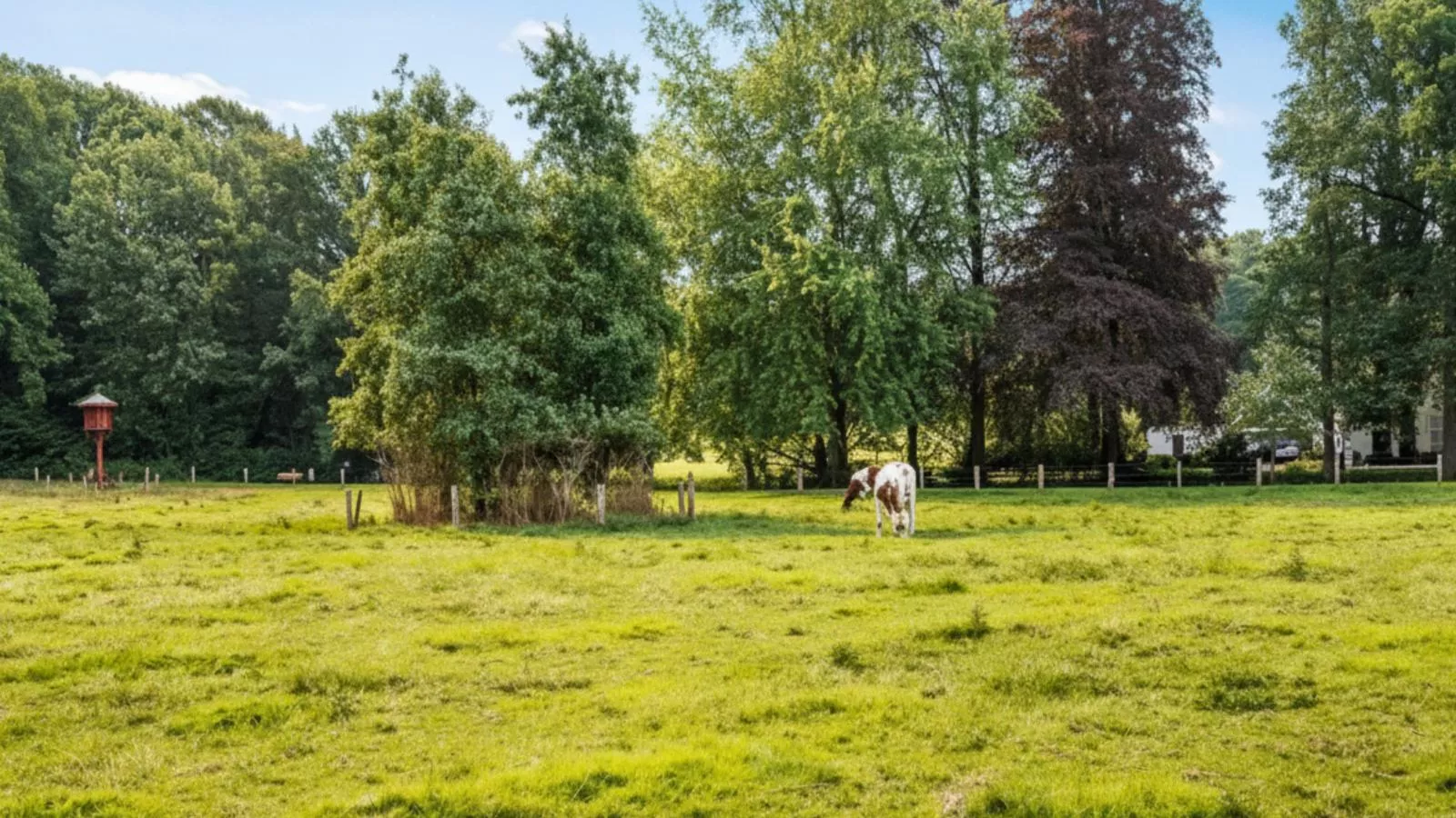 Wellnesshuisje Kalheupink-Gebieden zomer 1km