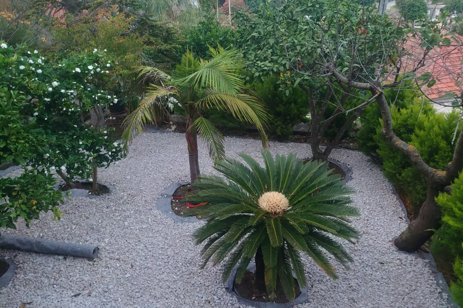 Villa Peragić - Triple Room with Balcony-Uitzicht