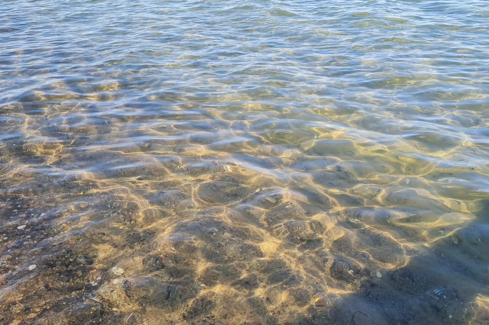 4 sterren vakantie huis in Idestrup-Waterzicht