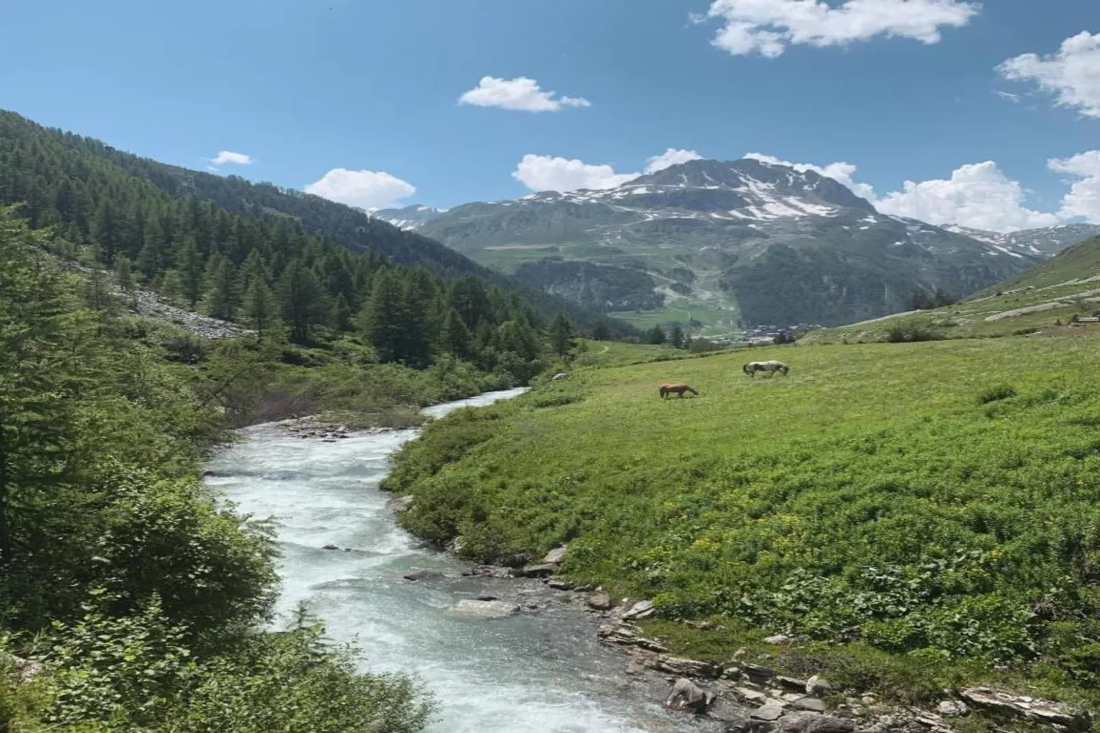 Chalet Arosa-Gebieden zomer 20km