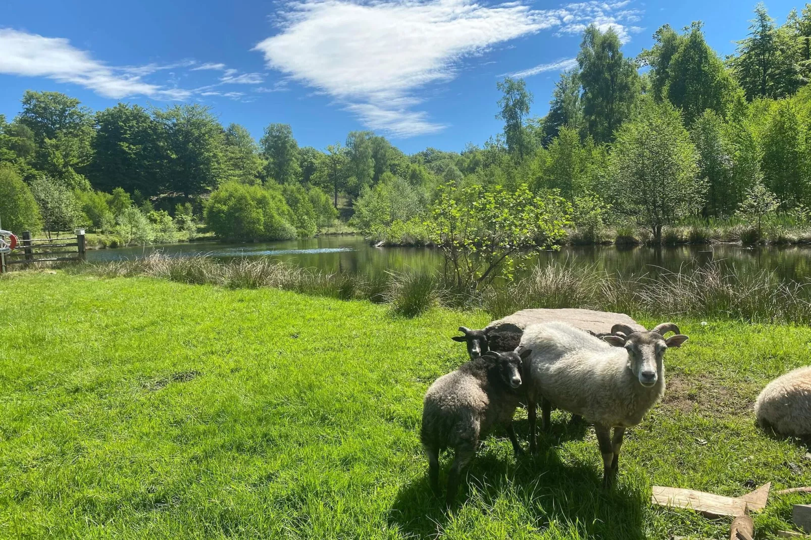 4 persoons vakantiehuis in Hoor-Waterzicht