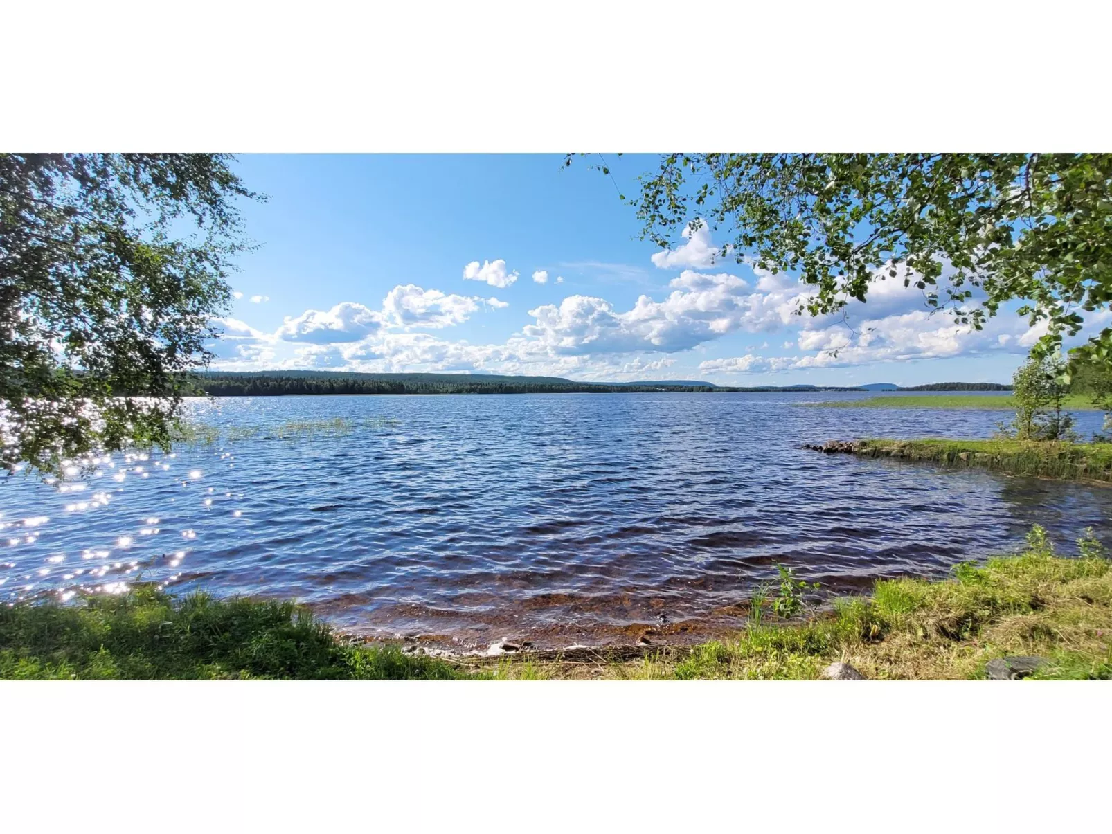 Koivulahden reinola-Binnen