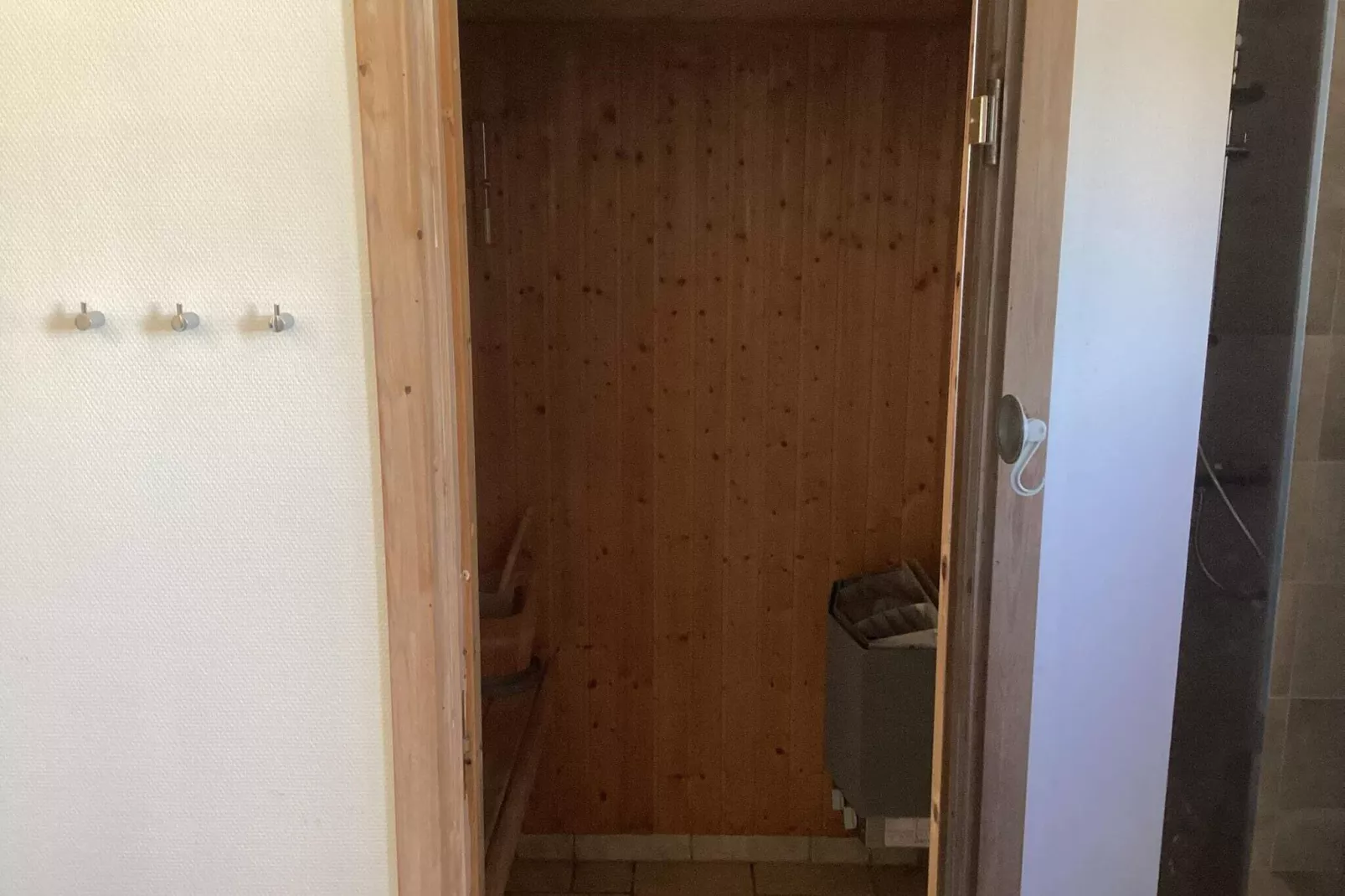 4 sterren vakantie huis in Lemvig-Sauna