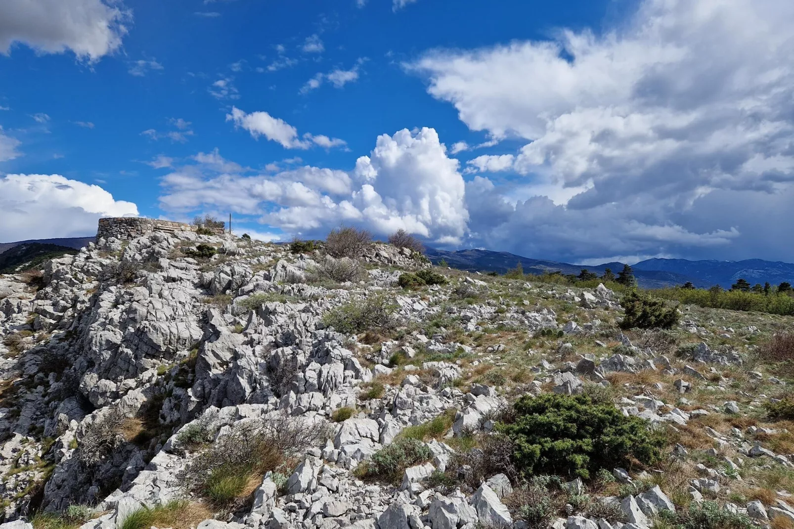 Niko 1-Gebieden zomer 5km
