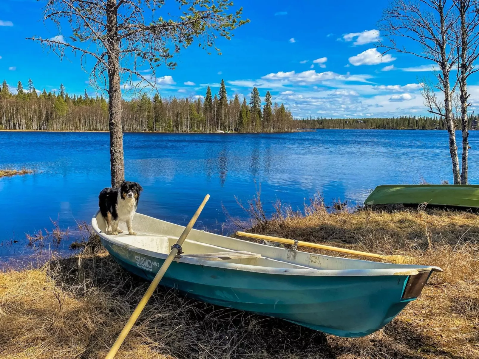 Riekonkätkä-Binnen