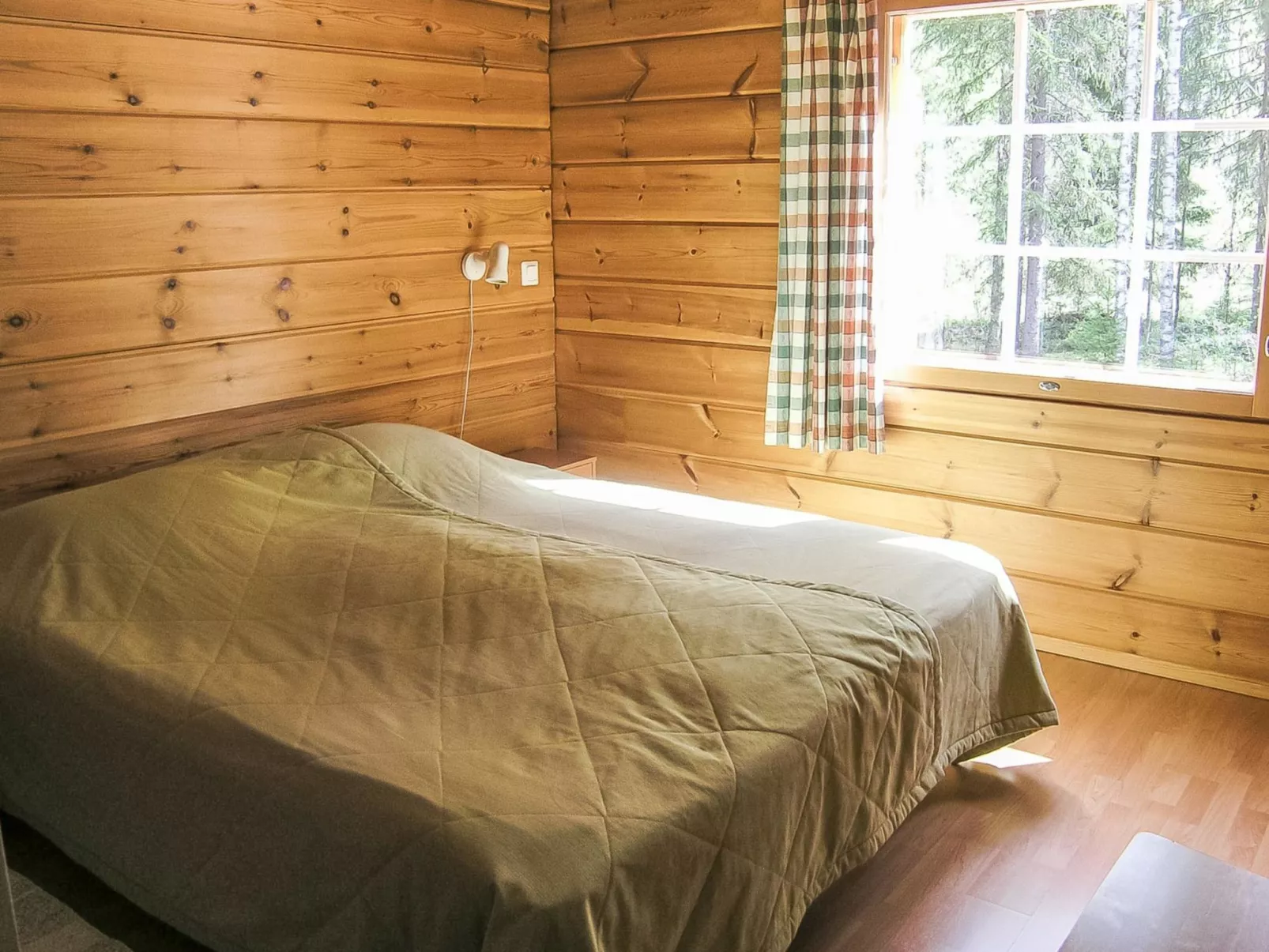 Yläneuvola niemi-Binnen