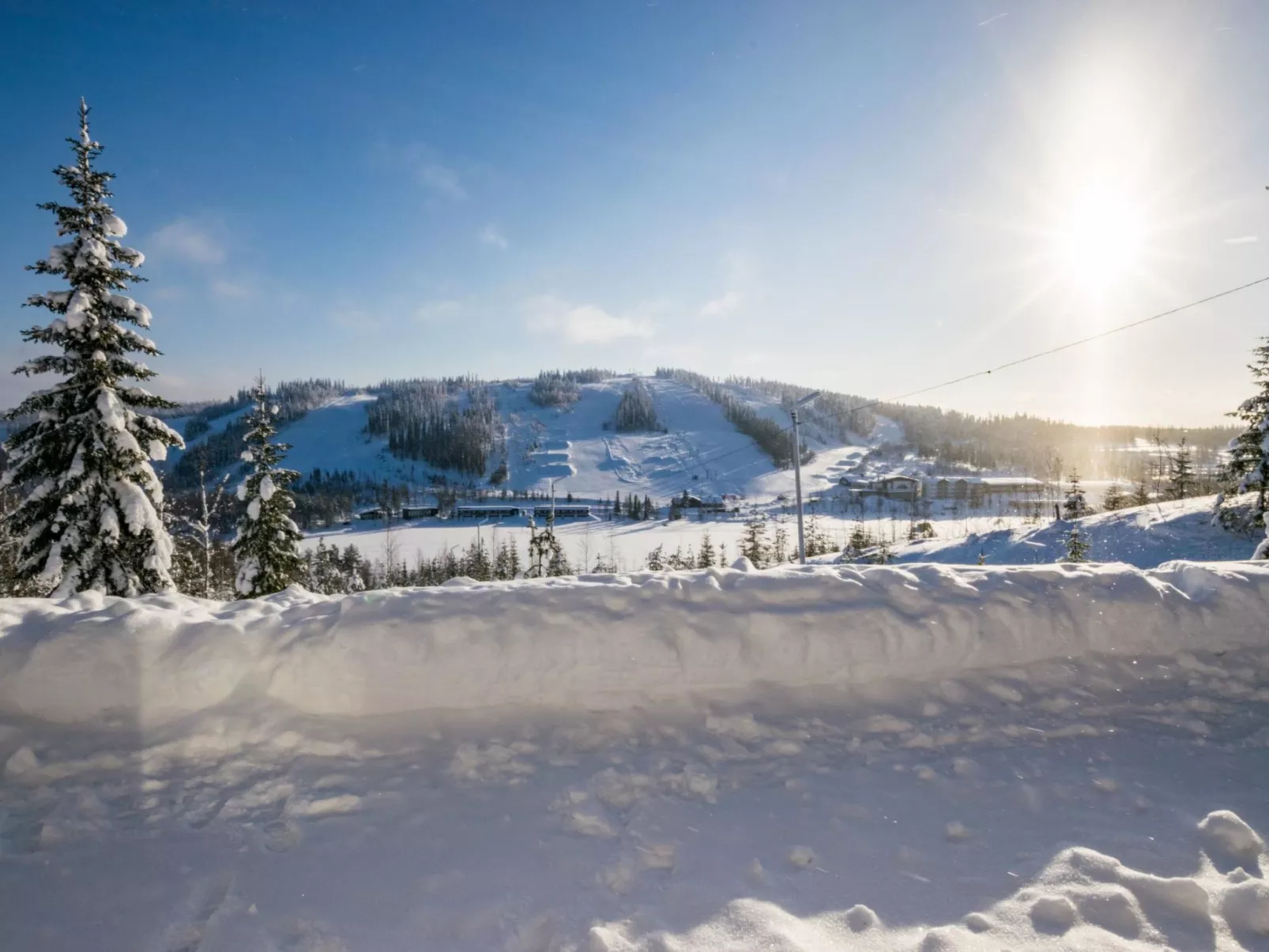 Alppikylä 1b paritalo-Binnen