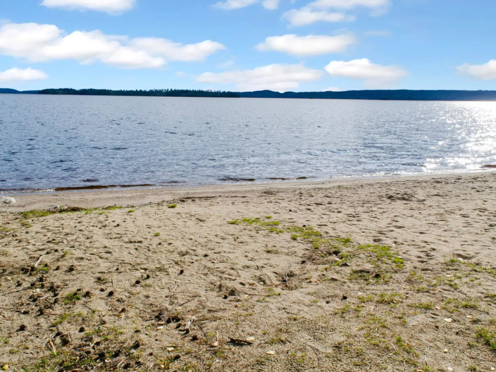 Sotka 7 by bomba-Binnen