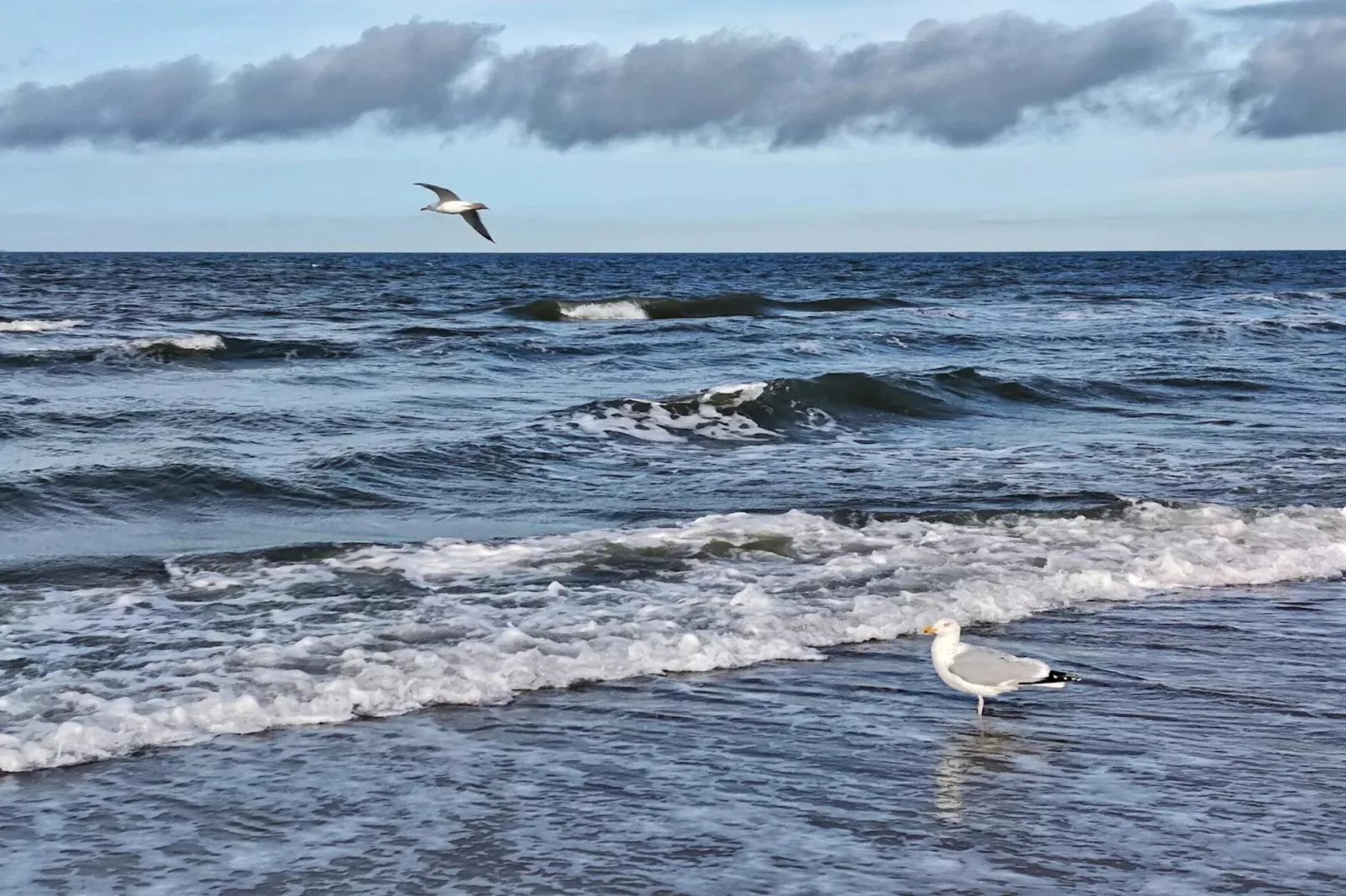 Haus Sonne - Garten Fewo - Strandhotel Fischland-Gebieden zomer 5km