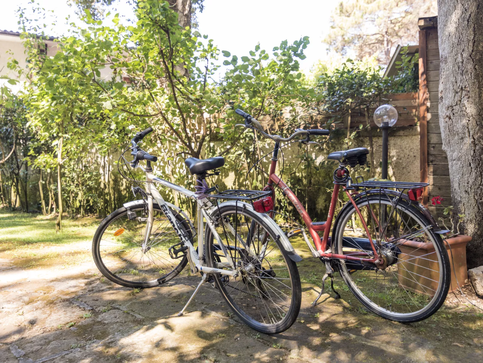 La casina nel bosco-Buiten