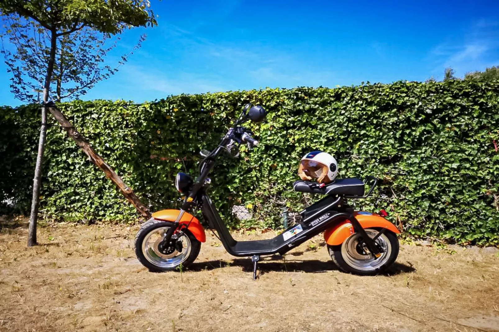 Berck sur Mer 12-Parkfaciliteiten