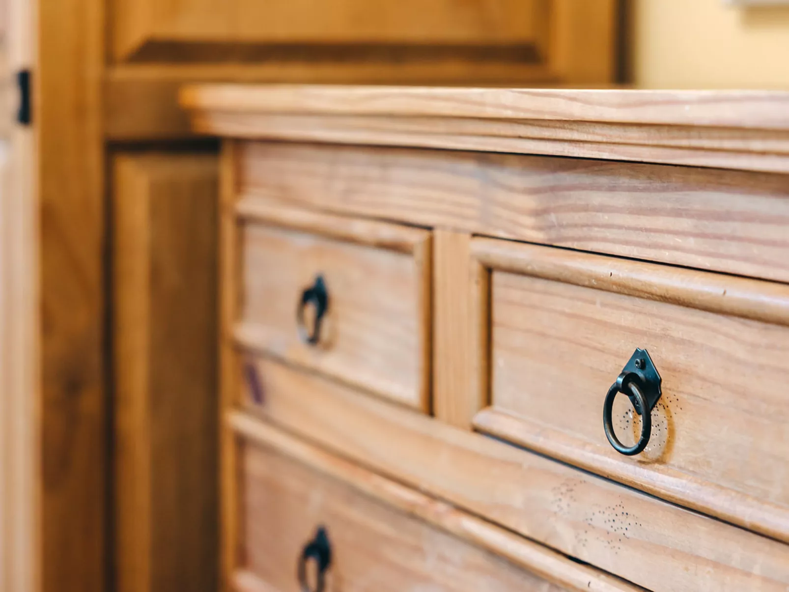 Netley Hall - Camelia-Binnen