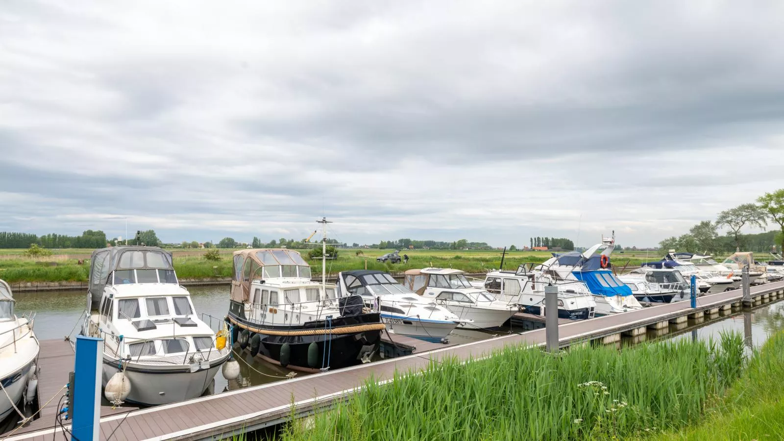 Nieuwendamme 40D-Gebieden zomer 1km