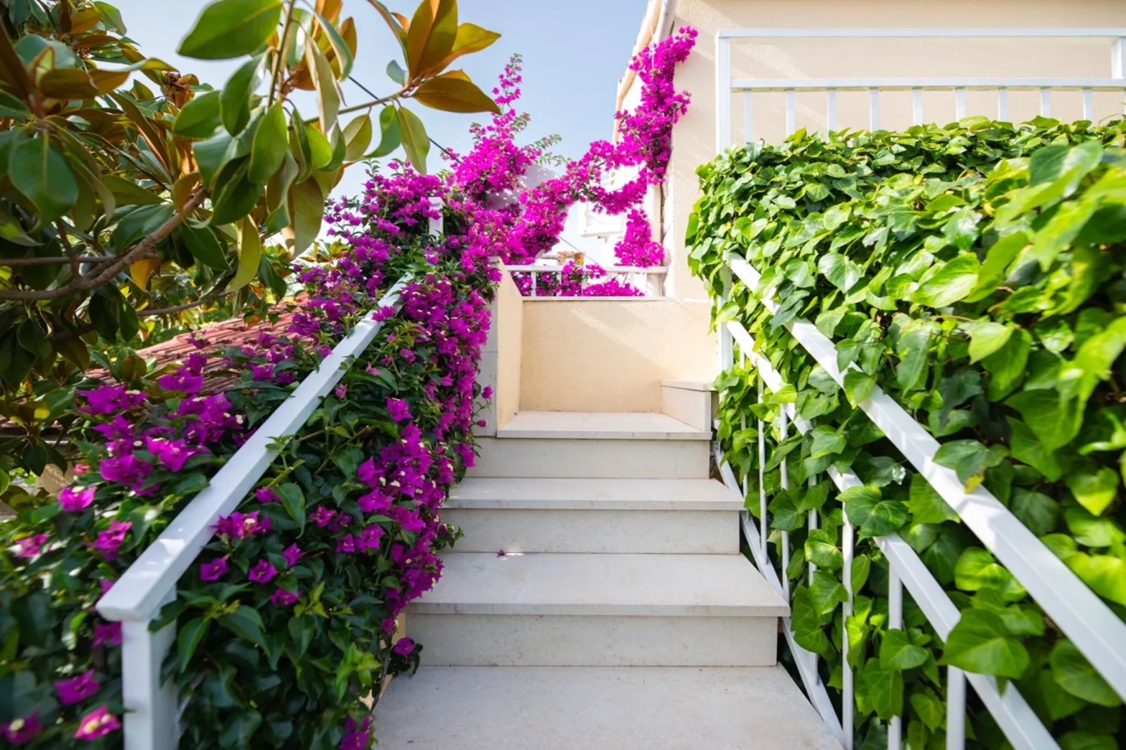 Studio Standard (A1)-Tuinen zomer