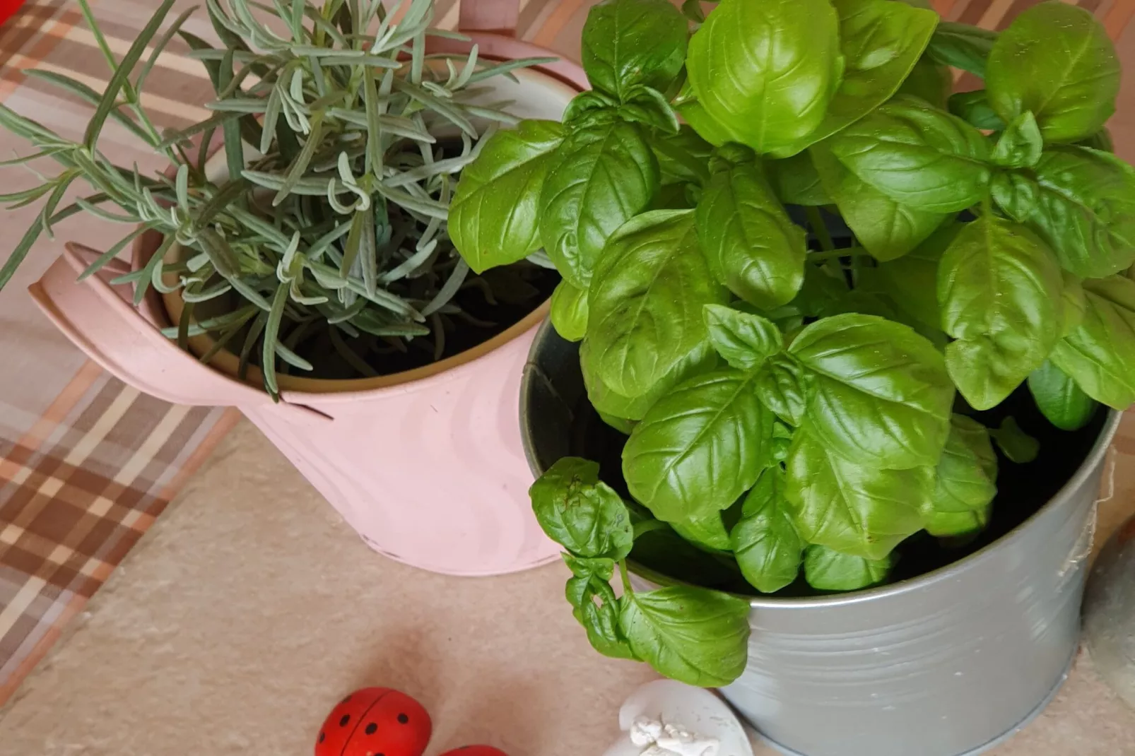 Viva Ve - Studio Apartment-Binnen