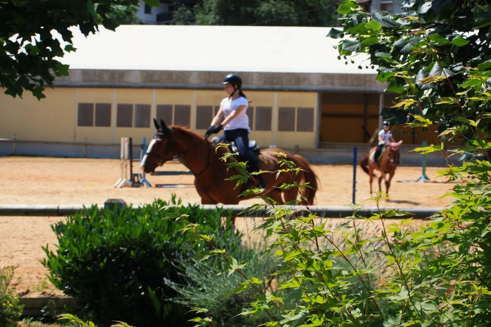 Zevnik Quiet Retreat with Stunning Views and Equestrian Activities - Triple Room with Private  Bathroom-Buitenlucht