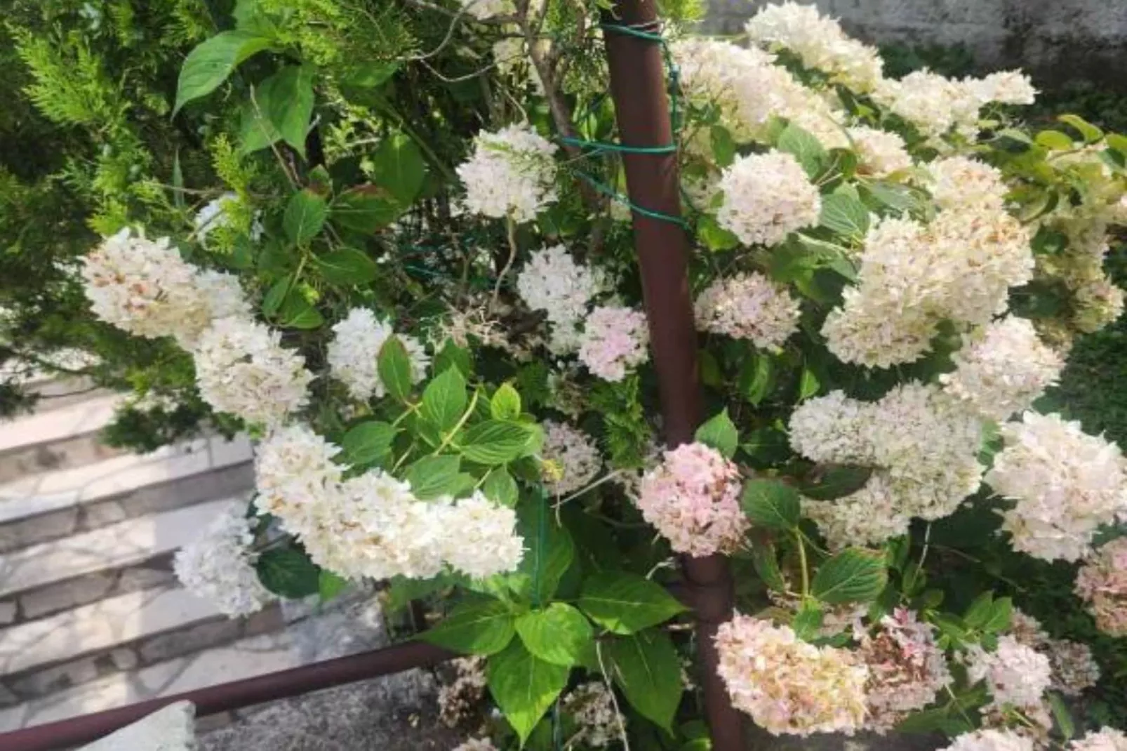 Deluxe City Escape with Modern Comforts & Garage - Double Room-Buitenlucht