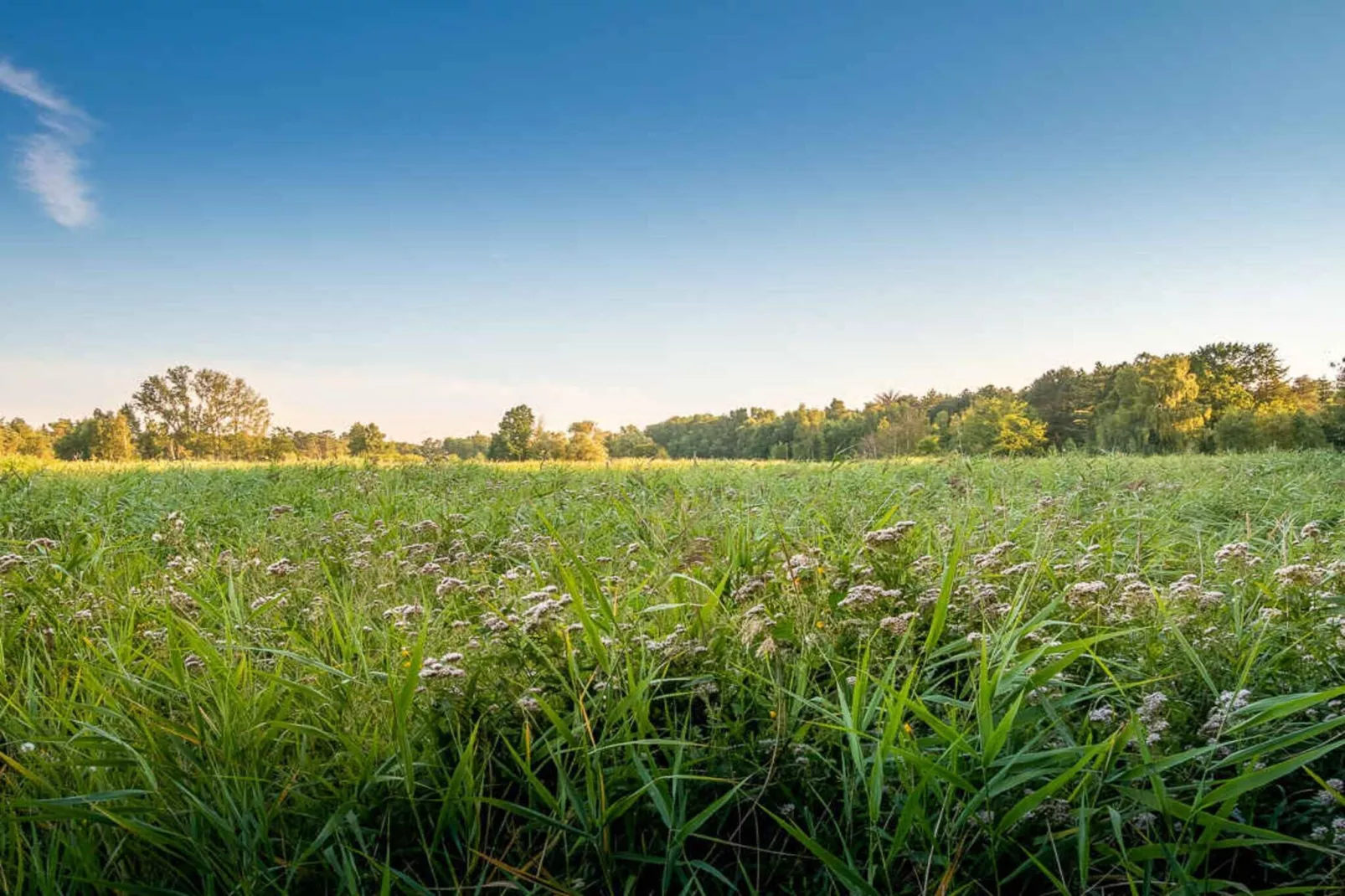 5 sterren vakantie huis in Store Fuglede-Waterzicht