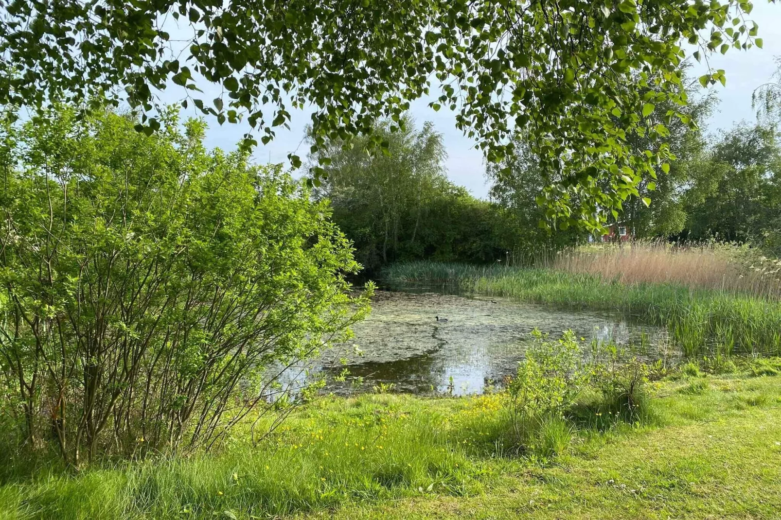 5 sterren vakantie huis in Karrebæksminde-Buitenlucht