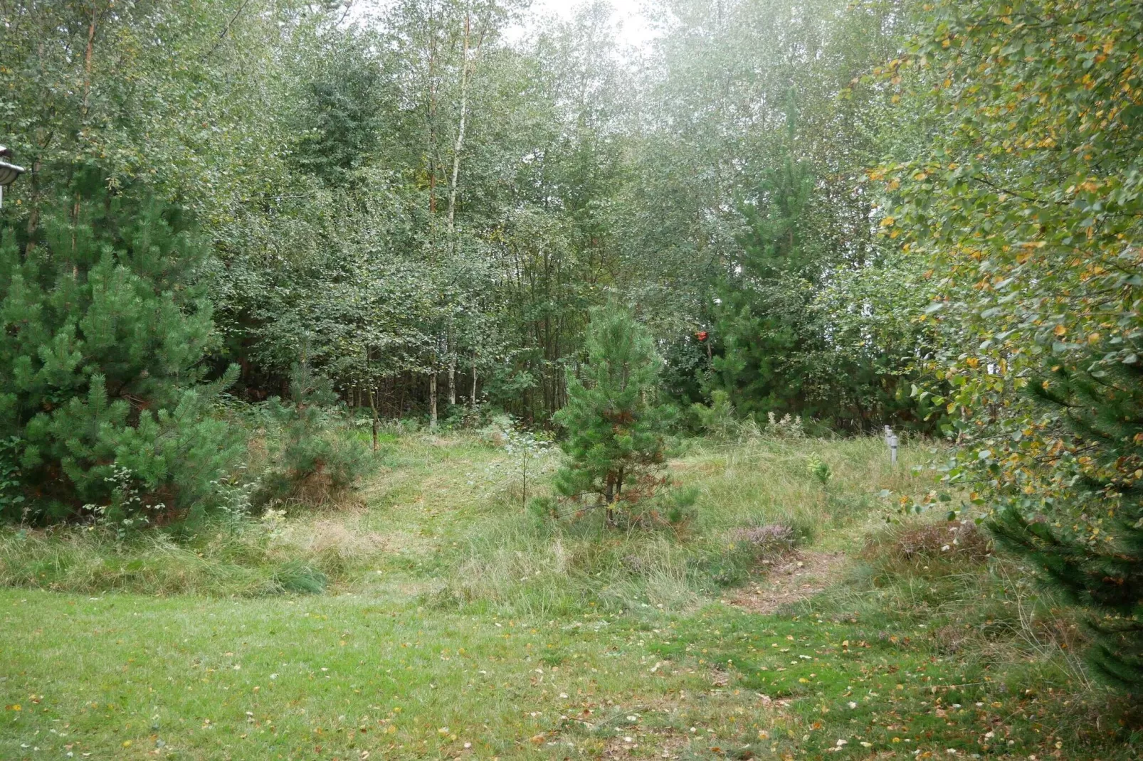 5 sterren vakantie huis in Sæby-Buitenlucht