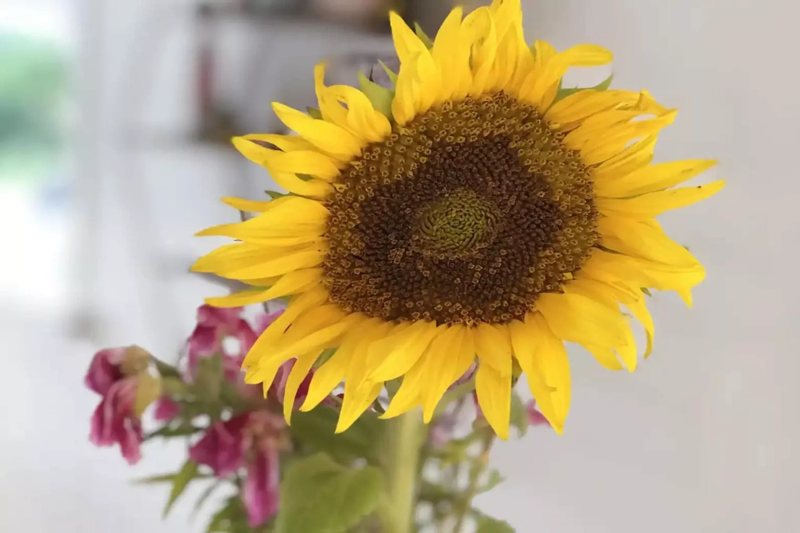 5 sterren vakantie huis in Assens-Buitenlucht