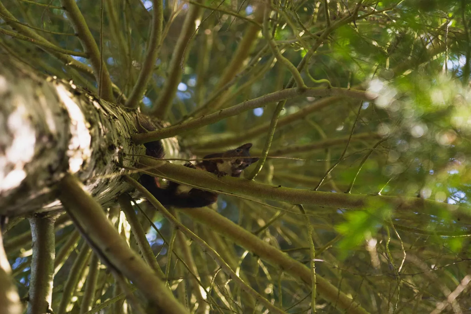 5 sterren vakantie huis in Gørlev-Uitzicht