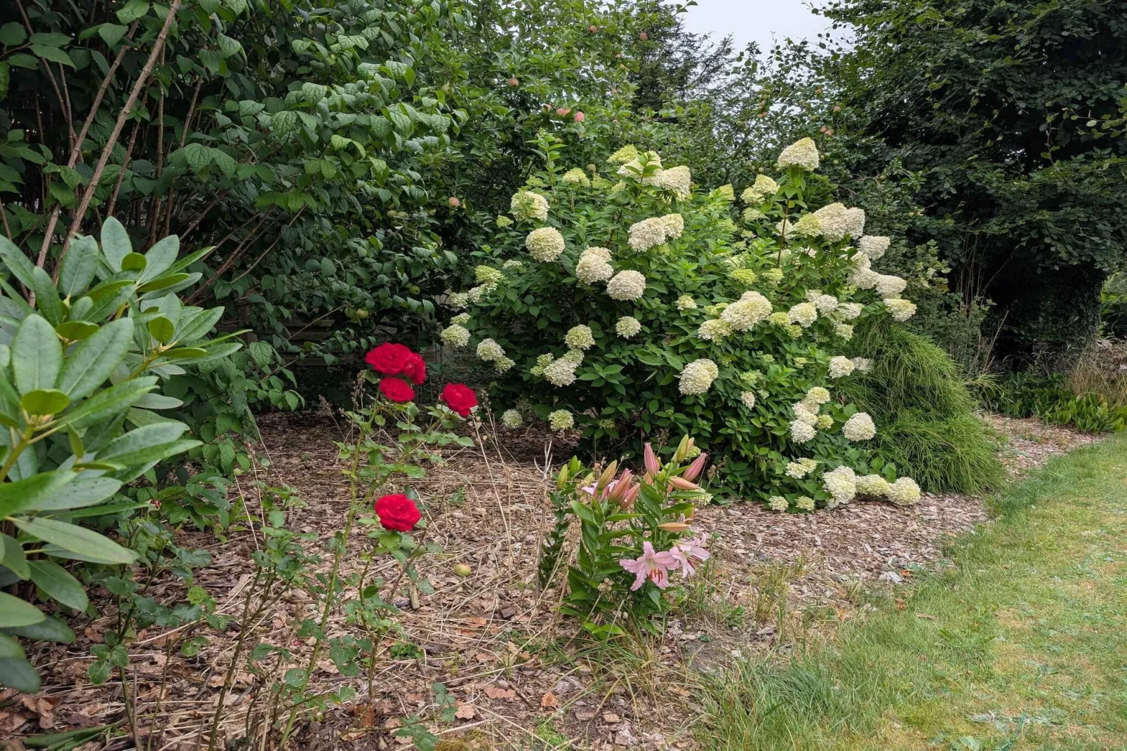 4 sterren vakantie huis in Løgstør-Buitenlucht