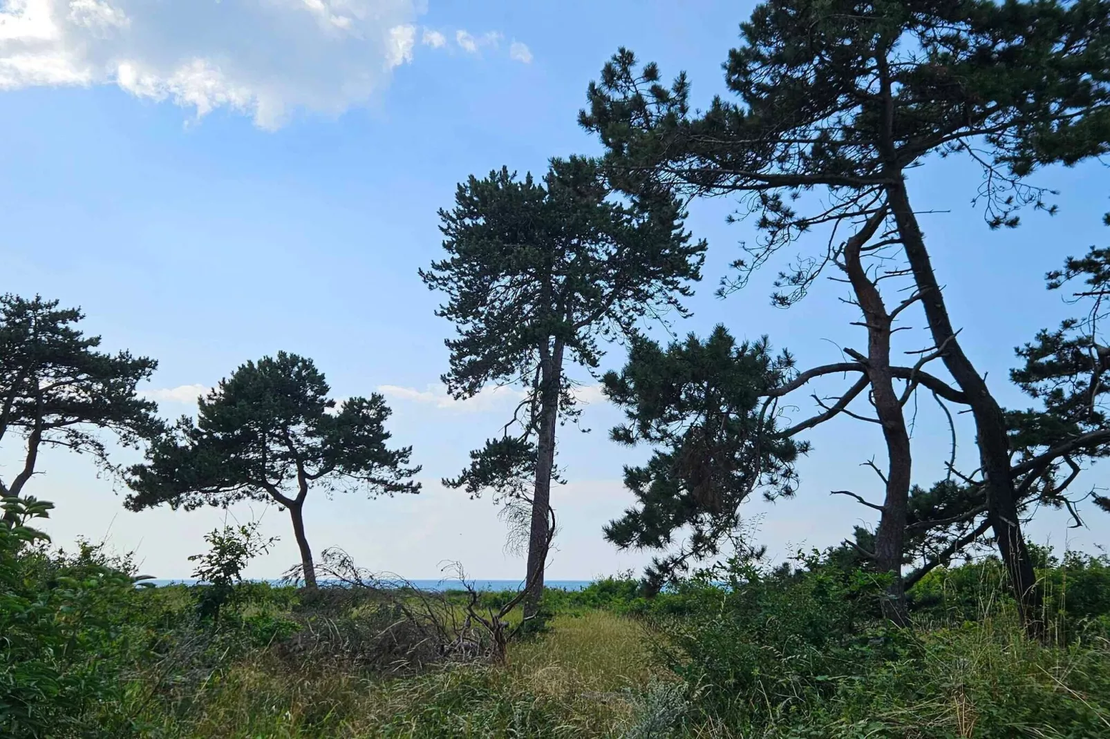 4 sterren vakantie huis in Asnæs-Buitenlucht