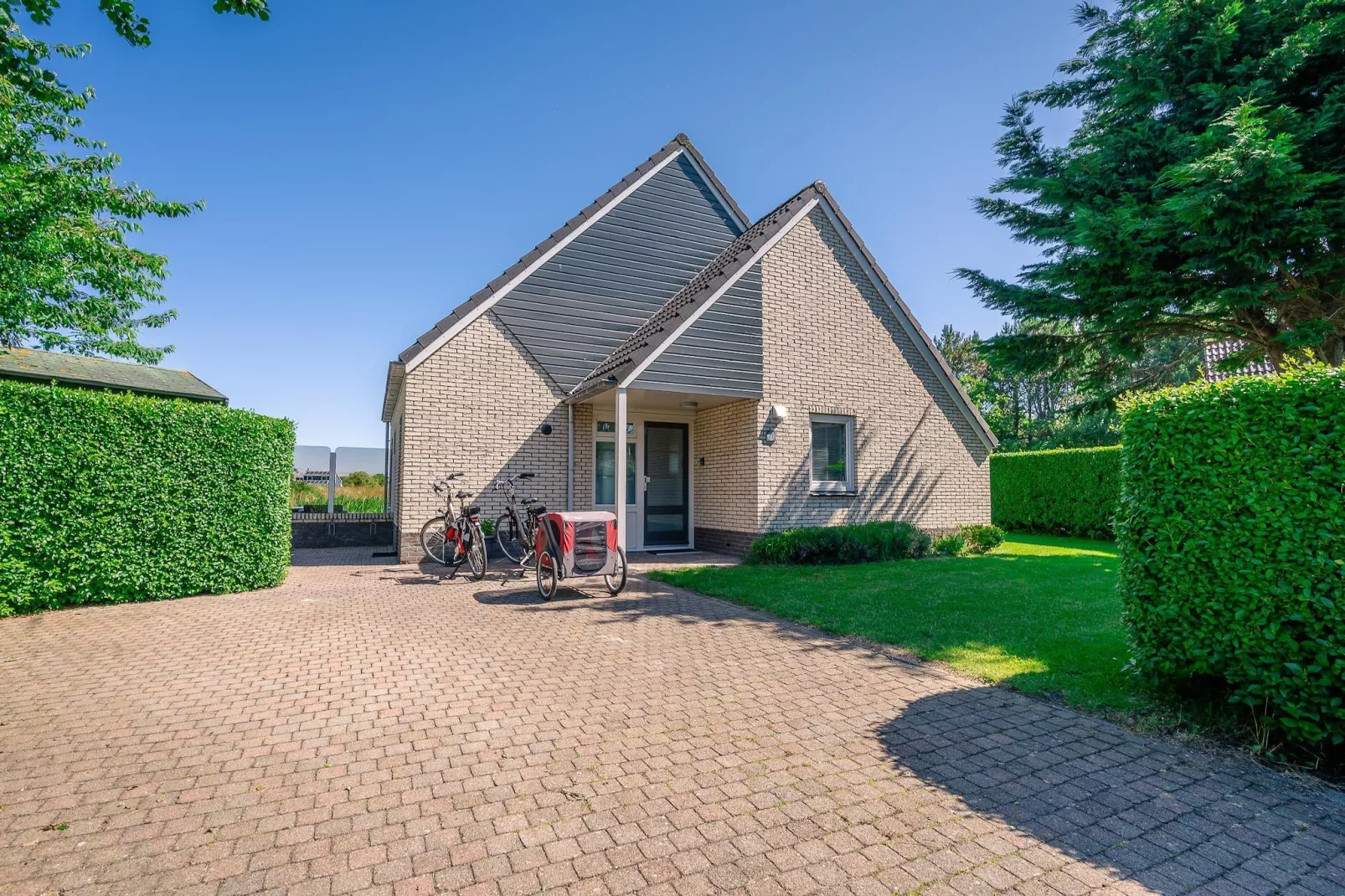 Kamperfoelie 71-Buitenkant zomer