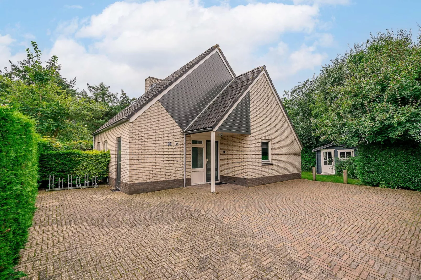 Kamperfoelie 31-Buitenkant zomer