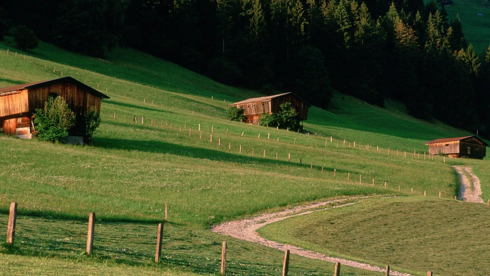Tirola Hütte-Gebieden zomer 5km