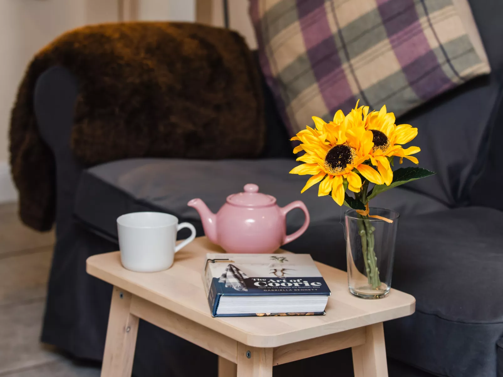 Wayside Bothy-Binnen