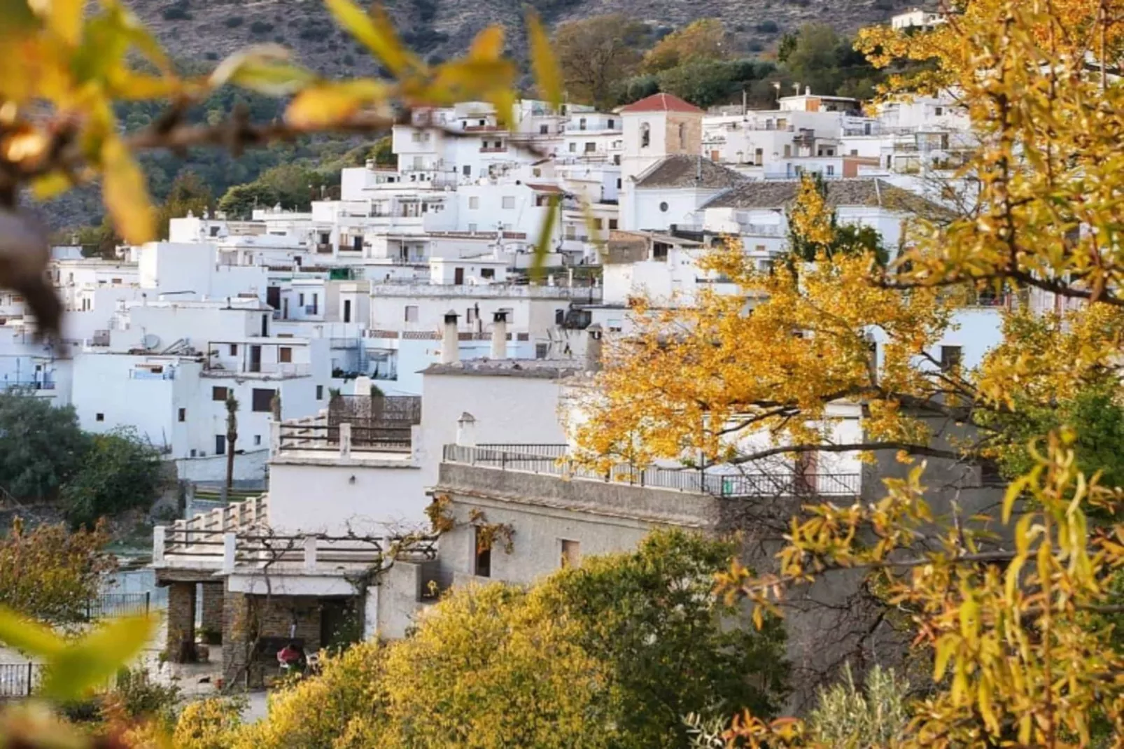 4608-Andrés-707-Gebieden zomer 1km