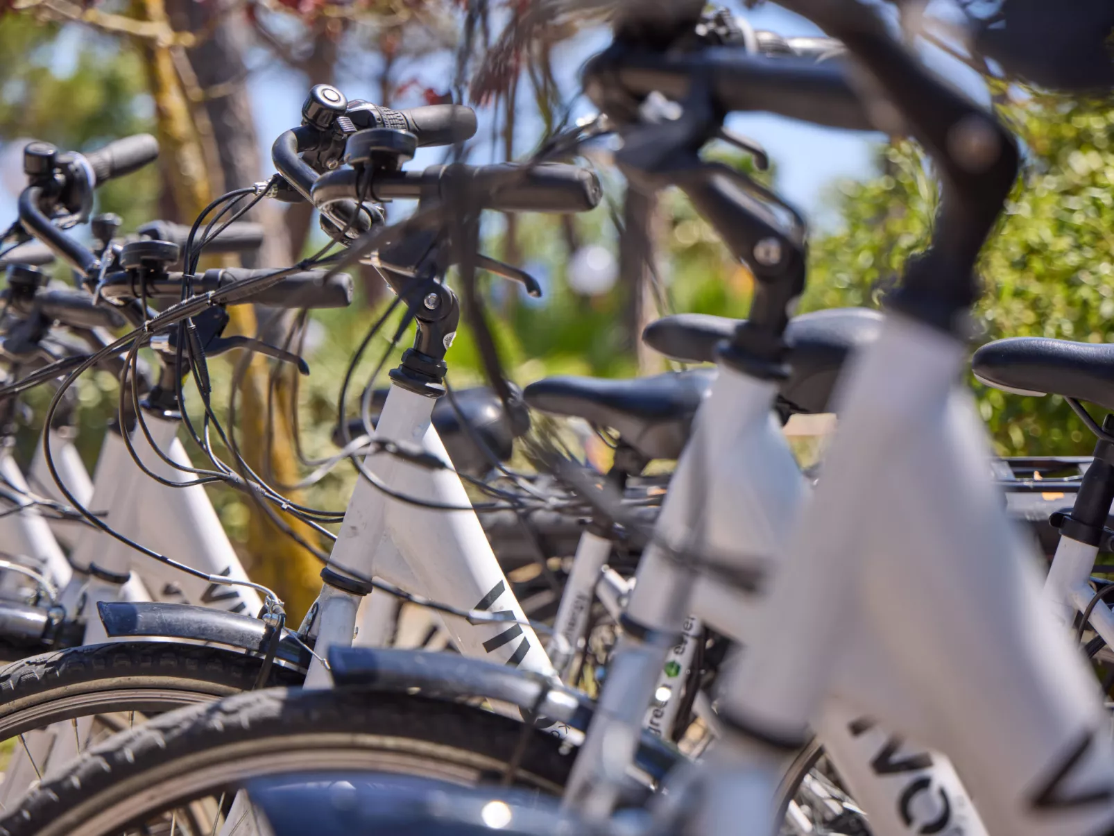 Costa D'Argento-Binnen