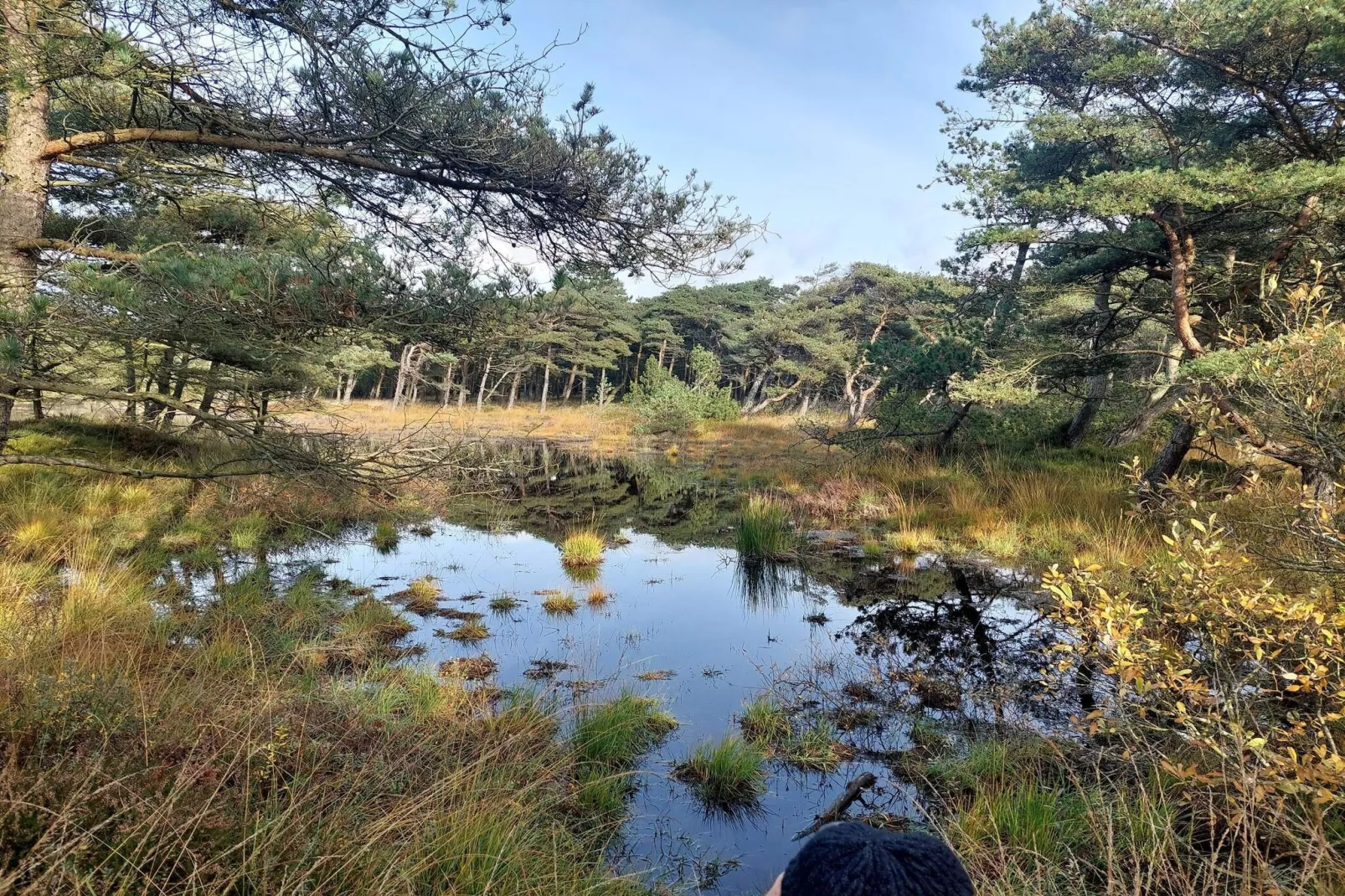 4 persoons vakantie huis in Rømø-Waterzicht