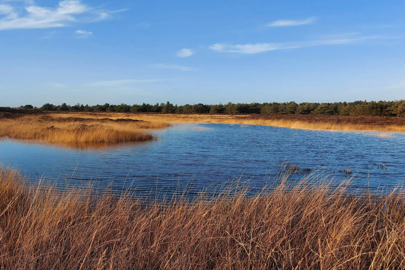 Rustiek rietgedekt huis op Romo-By Traum-Waterzicht