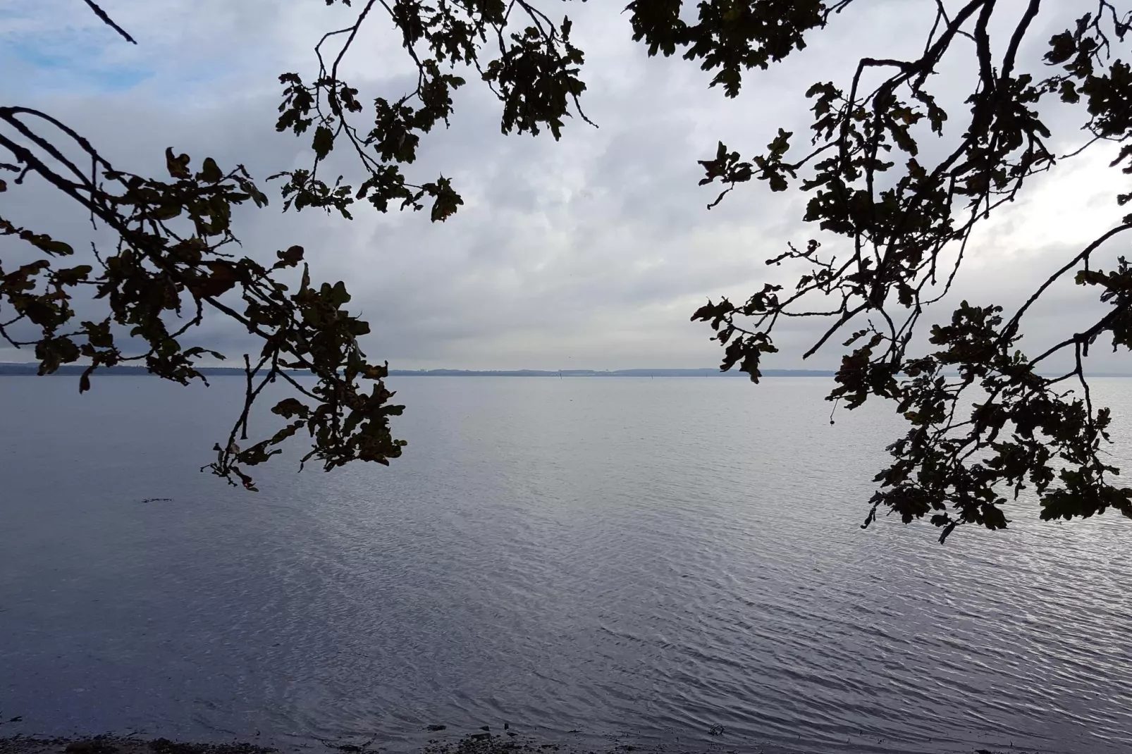 Kustcharme in Boged-By Traum-Waterzicht