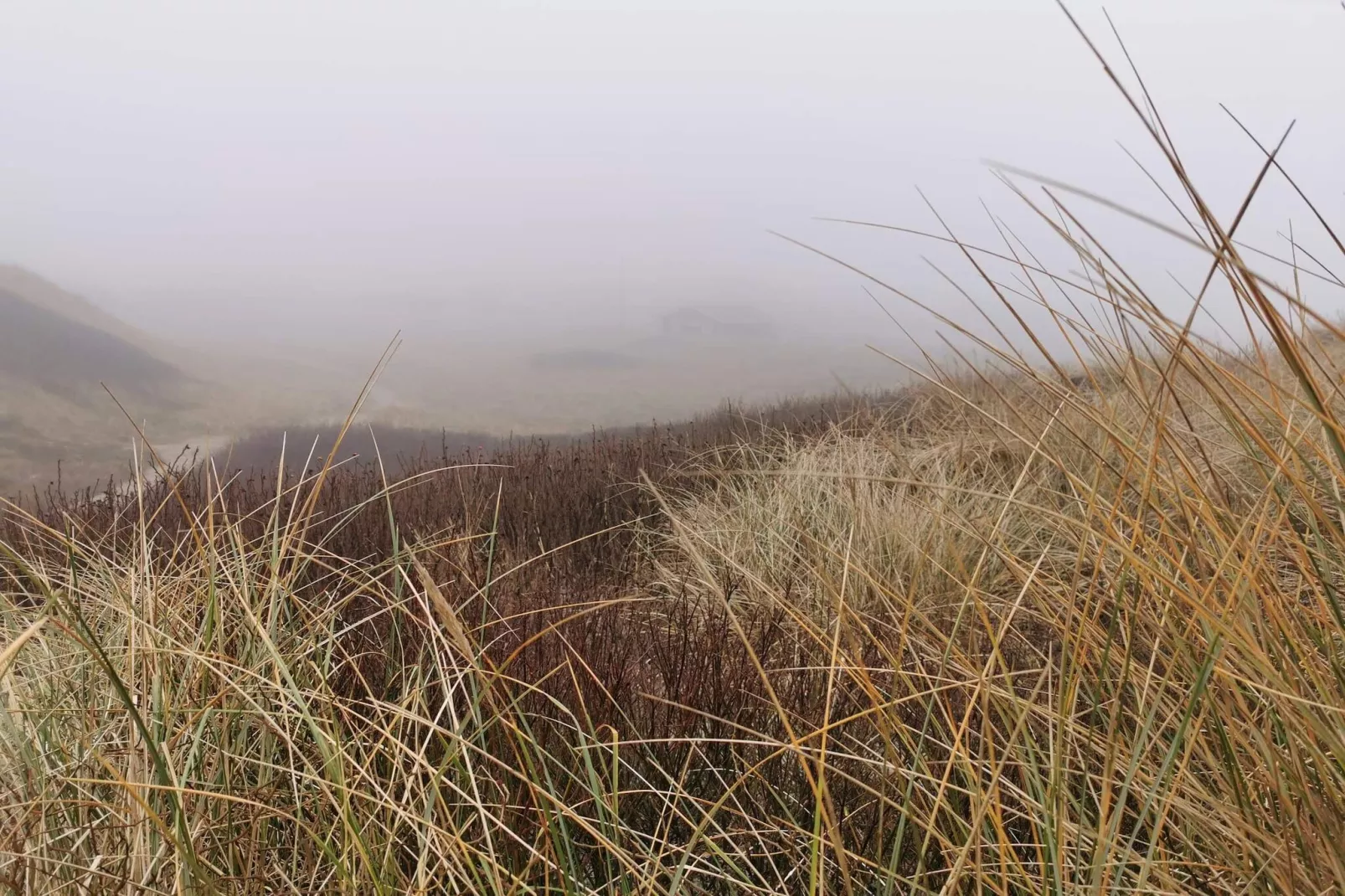 6 persoons vakantie huis in Ringkøbing-Niet-getagd
