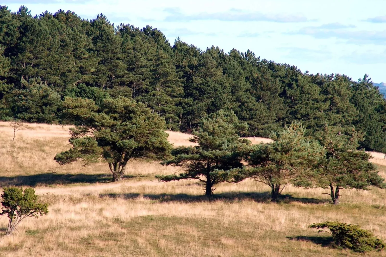 6 persoons vakantie huis in Ebeltoft-Niet-getagd