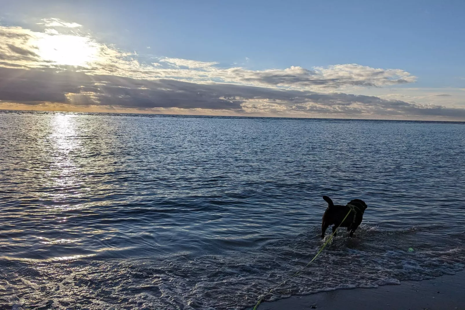 Gezellige stadswoning nabij strand -- By Traum Ferienwohnungen-Waterzicht