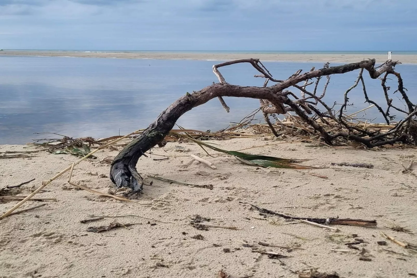 Kusthaven Toevluchtsoord -- By Traum Ferienwohnungen-Waterzicht
