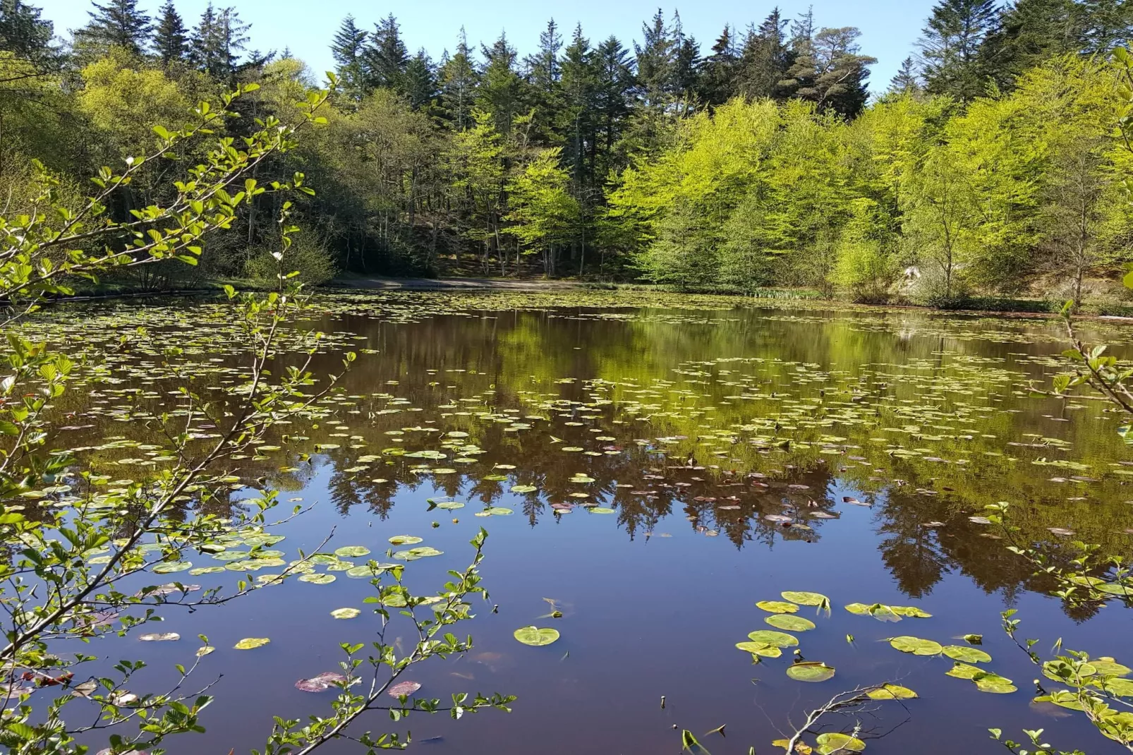 Afgelegen oase met zwembad -- By Traum Ferienwohnungen-Waterzicht
