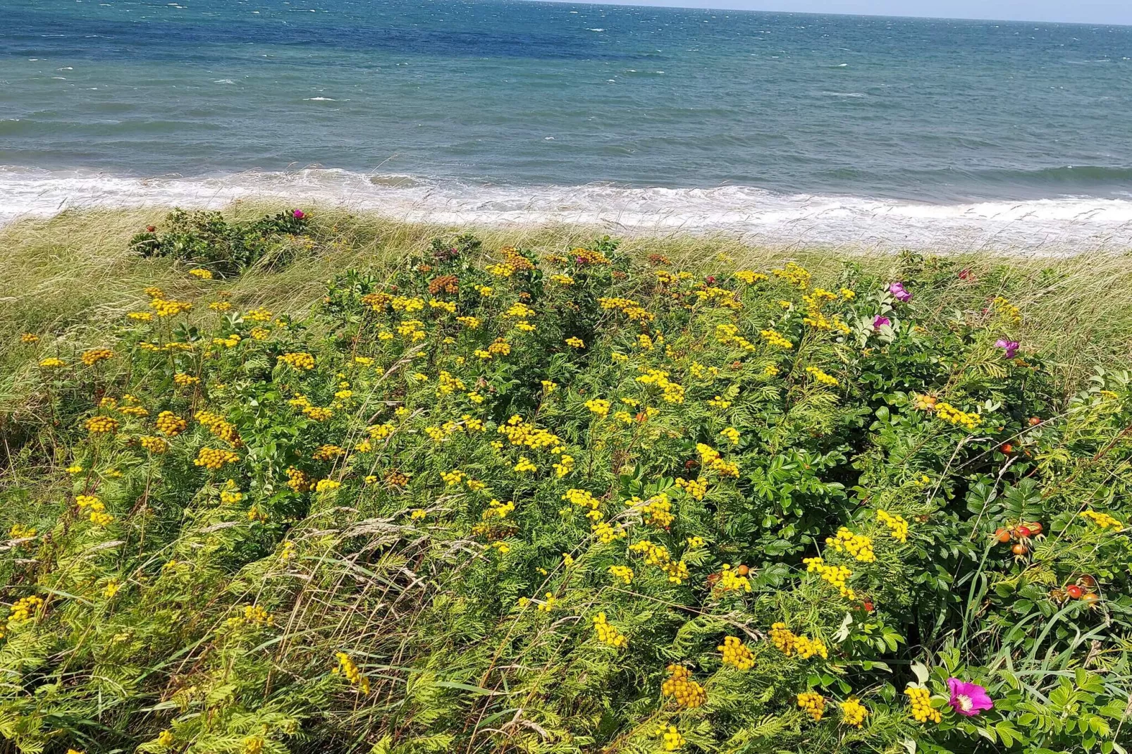 5 persoons vakantie huis in Græsted-Waterzicht