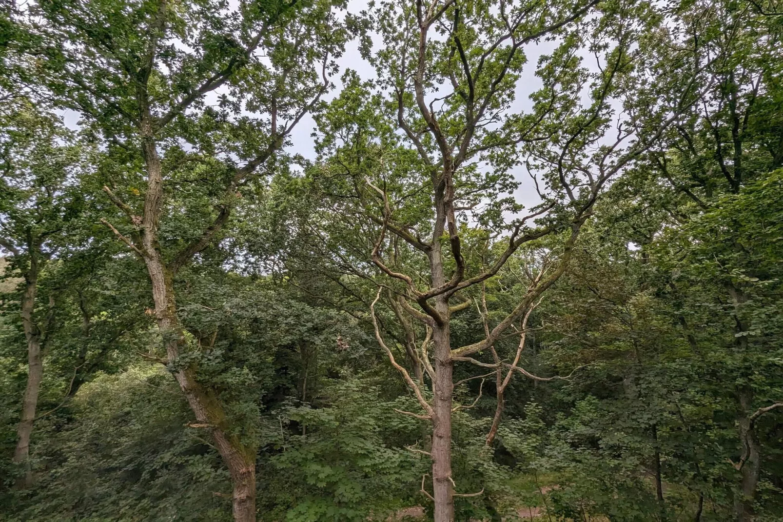 6 persoons vakantie huis in Hadsund-By Traum-Niet-getagd