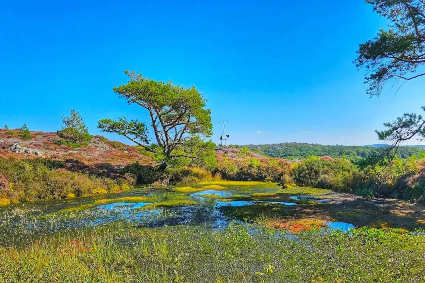 4 persoons vakantie huis in KYRKESUND-By Traum